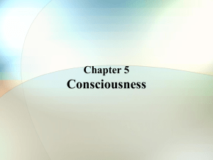 Consciousness - Gordon State College