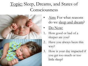 Sleep Stages