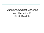Vaccines Against Varicella, Hepatitis A and B Ch 13, 14 and 15