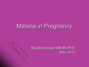 Rubella in Pregnancy - Max Brinsmead MB BS PhD