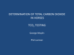 determination of total carbon dioxide in horses tco2 testing