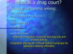 What is a drug court? - Addiction Professionals of Louisiana