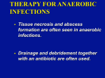 Therapy for Anaerobic Infections