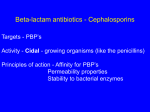 Beta-lactam antibiotics