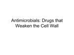 Antimicrobials: Drugs that Weaken the Cell Wall I