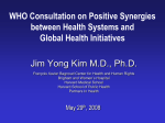 WHO Consultation on Positive Synergies between Health Systems
