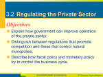 3.2 Regulating the Private Sector
