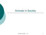 Animal Roles - New Mexico State University