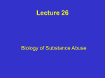 Lecture 26_web