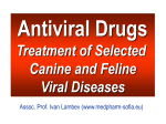 Antiviral Drugs. Treatment of Selected Canine and Feline Viral