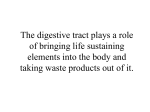 The digestive tract plays a role of bringing life sustaining elements