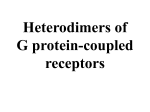 Heterodimers of G protein