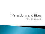 Infestations and Bites