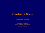 Distributive Shock