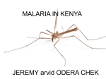 Kenyamalaria
