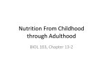 Nutrition From Childhood through Adulthood