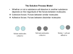 The Solution Process Model