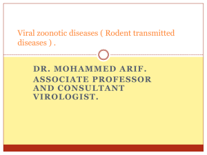 zoonotic diseases, rodents