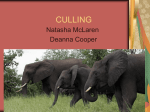 culling - fieldbio