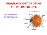 2-Ocular pharmacology and toxicology