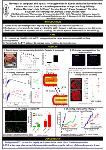 Poster martinive AACR2006