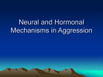 Neural and Hormonal Mechanisms in Aggression