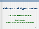 Kidneys and Hypertension