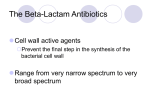 Penicillins and Cephalosporins