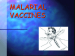 MALARIAL VACCINES