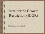Intrauterine Growth Restriction (IUGR)