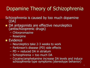 Dopamine Theory of Schizophrenia