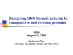 Designing DNA Nanostructures to encapsulate and