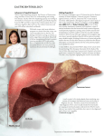 GastroenteroloGy Advances in Hepatitis Research Halting Hepatitis C