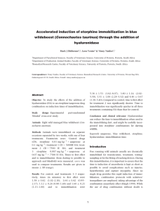 induction of etorphine immobilization in blue Accelerated