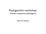 Phylogenetics workshop