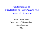 Bacterial Structure - UAB School of Optometry