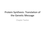 Protein Synthesis - Workforce Solutions