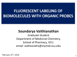 fluorescent labeling of biomolecules with organic probes