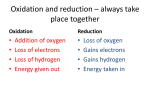 Photosynthesis_light_dependent_and_light_independent_reactions