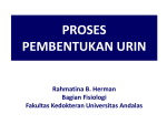 PROSES PEMBENTUKAN URIN