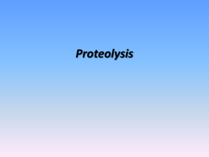 Proteolysis