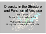 Diversity in the Structure and Function of Amylase
