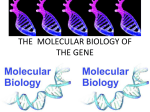 THE MOLECULAR BIOLOGY OF THE GENE
