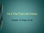 14-3 The First Life Forms