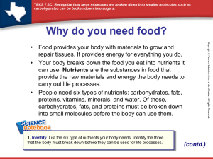 How are proteins broken down?