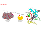 3.6: ENZYMES - HS Biology IB