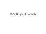 14-3: Origin of Heredity