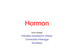 hormon regular 2b - UNAIR | E