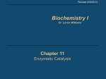 11 Enzymes - School of Chemistry and Biochemistry