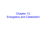 Energetics and Catabolism
